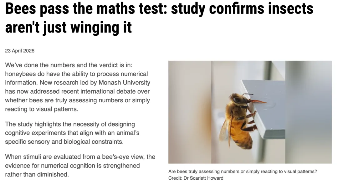 高考|考研阅读风向预测 · 外刊精读 13:Can Bees Count?|蜜蜂真的会"数数"吗?科学家发现,问题可能出在我们怎么看它们-第1张图片-四季读书网 高考|考研阅读风向预测 · 外刊精读 13:Can Bees Count?|蜜蜂真的会"数数"吗?科学家发现,问题可能出在我们怎么看它们-第1张图片-四季读书网