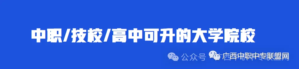 单招对口高考丨广西2027年普通高校招生考试报名通知-第7张图片-四季读书网 单招对口高考丨广西2027年普通高校招生考试报名通知-第7张图片-四季读书网