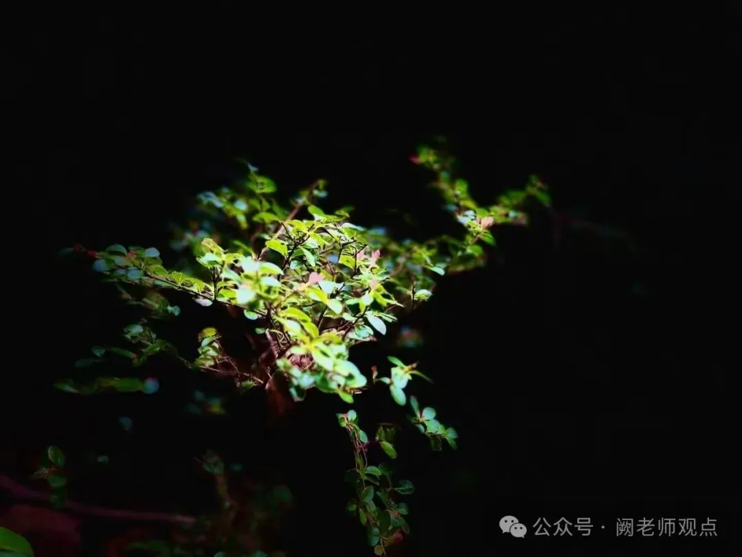 网传福建中考道法、历史或开卷,若真,语文是大赢家!-第1张图片-四季读书网