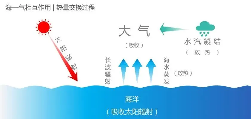 高考地理的海气相互作用-第3张图片-四季读书网 高考地理的海气相互作用-第3张图片-四季读书网