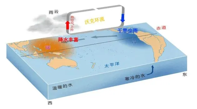高考地理的海气相互作用-第5张图片-四季读书网 高考地理的海气相互作用-第5张图片-四季读书网