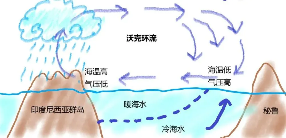 高考地理的海气相互作用-第10张图片-四季读书网 高考地理的海气相互作用-第10张图片-四季读书网