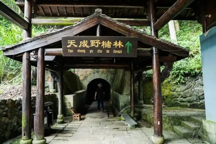 初三初五发班~1099元起国际五星『杭州富阳喜来登』含3正2早◆超山赏梅◆游富春桃源 | 九雪碧云洞◆天钟山大年祈福◆龙门古镇 纯玩三日-第36张图片-四季读书网 初三初五发班~1099元起国际五星『杭州富阳喜来登』含3正2早◆超山赏梅◆游富春桃源 | 九雪碧云洞◆天钟山大年祈福◆龙门古镇 纯玩三日-第36张图片-四季读书网