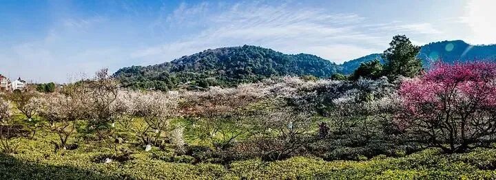 初三初五发班~1099元起国际五星『杭州富阳喜来登』含3正2早◆超山赏梅◆游富春桃源 | 九雪碧云洞◆天钟山大年祈福◆龙门古镇 纯玩三日-第47张图片-四季读书网 初三初五发班~1099元起国际五星『杭州富阳喜来登』含3正2早◆超山赏梅◆游富春桃源 | 九雪碧云洞◆天钟山大年祈福◆龙门古镇 纯玩三日-第47张图片-四季读书网