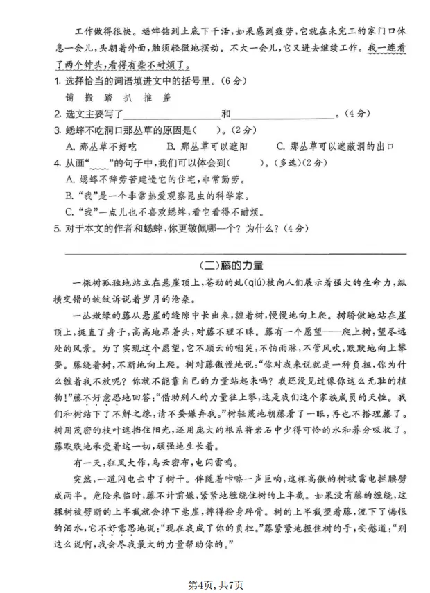 四年级上册语文期中名校真题卷-第4张图片-四季读书网 四年级上册语文期中名校真题卷-第4张图片-四季读书网