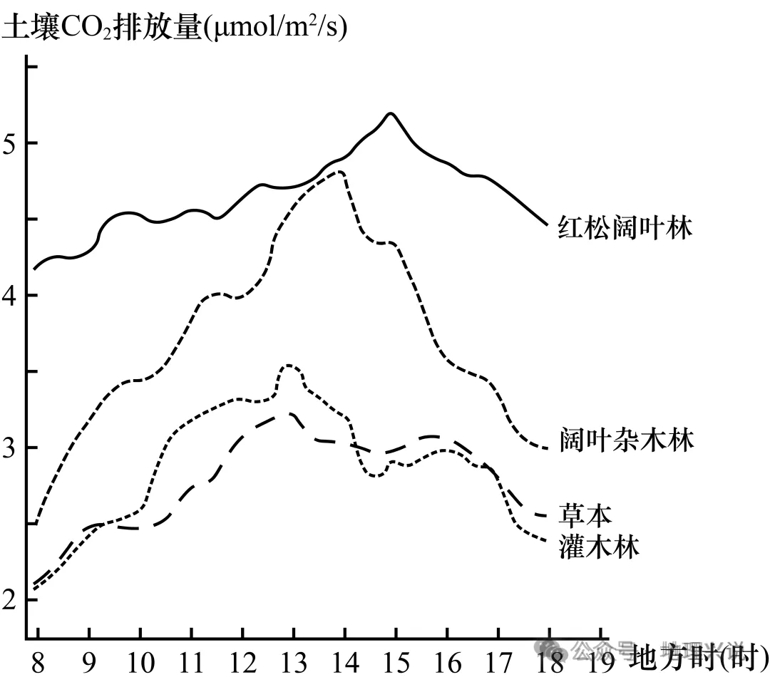 高考地理小专题——土壤呼吸-第5张图片-四季读书网 高考地理小专题——土壤呼吸-第5张图片-四季读书网