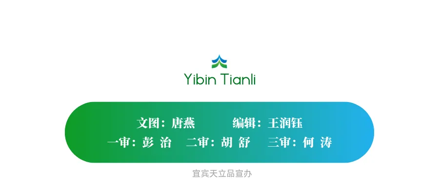 榜样聚力促成长 笃行奋进启新程——初三年级第一学月总结表扬大会-第39张图片-四季读书网 榜样聚力促成长 笃行奋进启新程——初三年级第一学月总结表扬大会-第39张图片-四季读书网