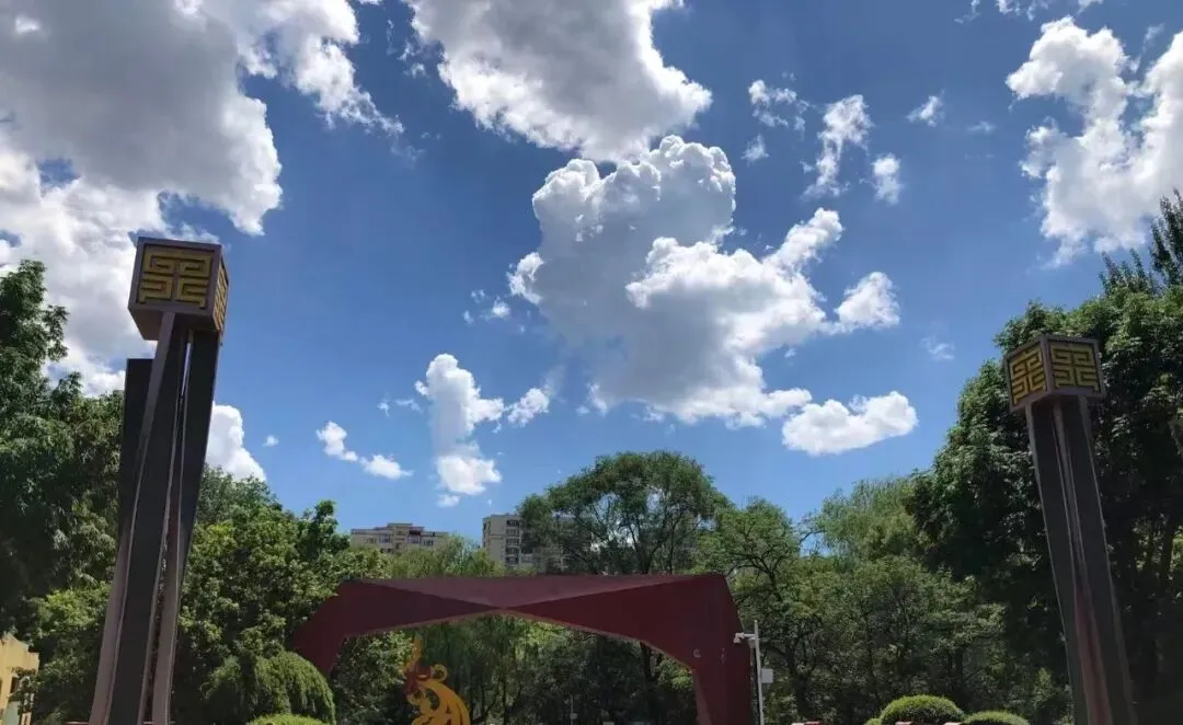 在沈阳,初二初三月考考完了,我把五个学校的卷子都过了一遍:能拉开差距的,不是难题-第1张图片-四季读书网 在沈阳,初二初三月考考完了,我把五个学校的卷子都过了一遍:能拉开差距的,不是难题-第1张图片-四季读书网