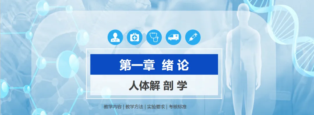 解剖专升本自测|解剖绪论章节20道真题,测测你能拿多少分?-第1张图片-四季读书网 解剖专升本自测|解剖绪论章节20道真题,测测你能拿多少分?-第1张图片-四季读书网