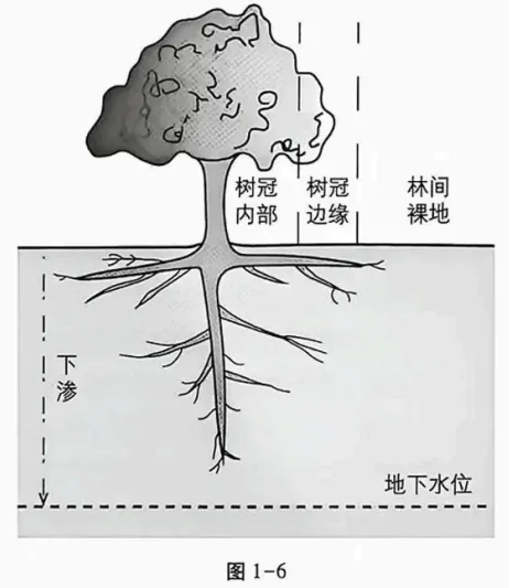2026年江西卷地理高考真题:第18题.水循环、植被树冠内部树冠边缘林间裸地、计算、地下水、非洲某半干旱地区——官方答案与解析-第1张图片-四季读书网