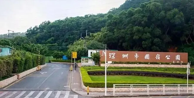 深圳翠园华府:三地铁交汇精装现房,罗湖中考名校领衔东晓学区高性价比人居标杆-第10张图片-四季读书网 深圳翠园华府:三地铁交汇精装现房,罗湖中考名校领衔东晓学区高性价比人居标杆-第10张图片-四季读书网
