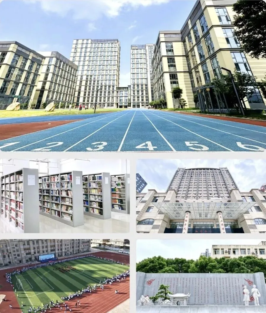 初三月考落幕!第一次月考,到底看什么?决定孩子初三全年走向-第11张图片-四季读书网 初三月考落幕!第一次月考,到底看什么?决定孩子初三全年走向-第11张图片-四季读书网