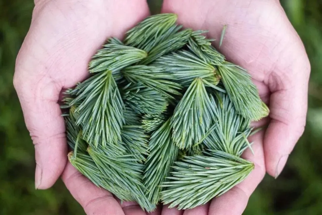 陪孩子练中考体育的365天,先撑不住的,是我们这些当爸妈的.-第5张图片-四季读书网