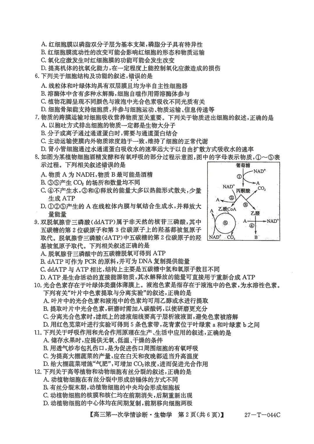 2026年四平四中高三第一次月考生物试卷-第2张图片-四季读书网