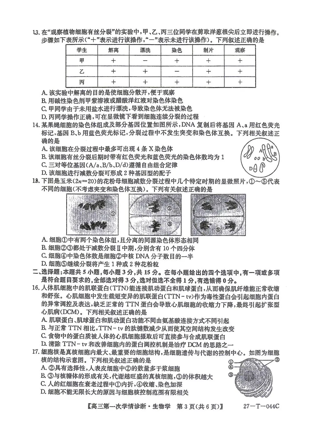 2026年四平四中高三第一次月考生物试卷-第3张图片-四季读书网