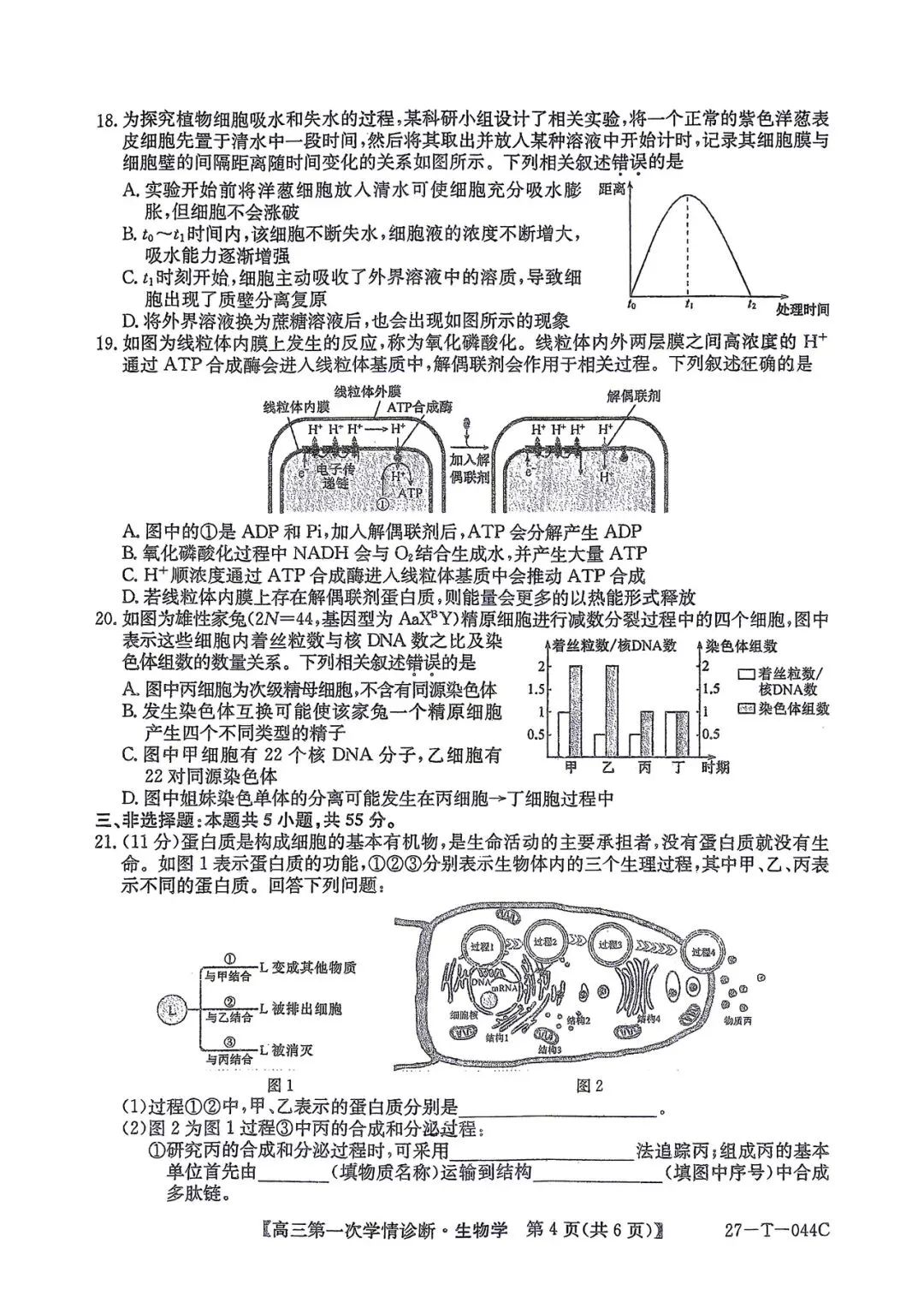 2026年四平四中高三第一次月考生物试卷-第4张图片-四季读书网