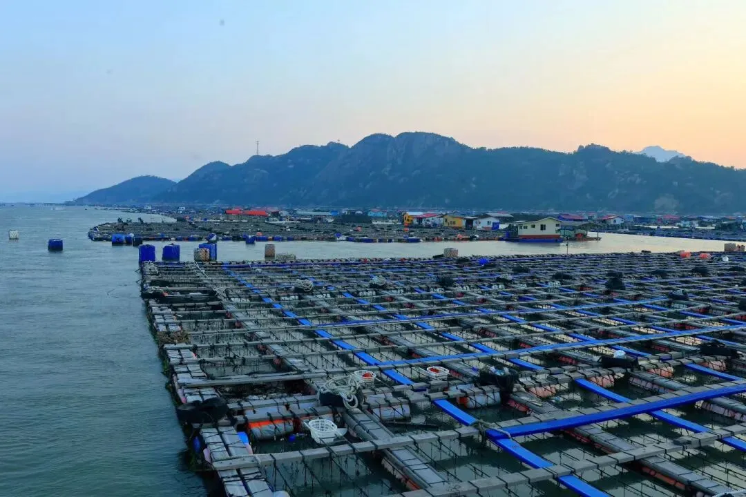 高三生物学 |2026福建高考生物学学科评价报告(节选)2026.10-第21张图片-四季读书网 高三生物学 |2026福建高考生物学学科评价报告(节选)2026.10-第21张图片-四季读书网