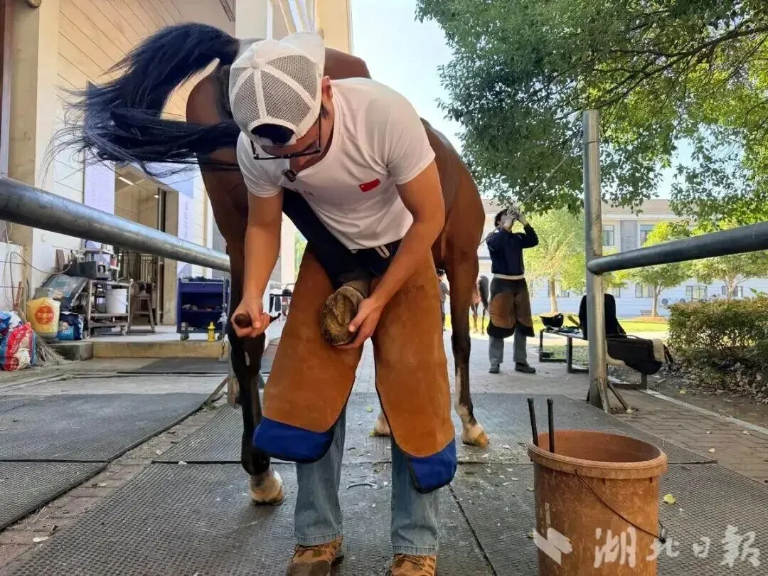男生高考522分,被调剂到马术专业学钉蹄,全年级就他一人,“月薪保底5位数”;员工办完离职手续后回家途中遇车祸,法院:工伤|来听新闻-第3张图片-四季读书网 男生高考522分,被调剂到马术专业学钉蹄,全年级就他一人,“月薪保底5位数”;员工办完离职手续后回家途中遇车祸,法院:工伤|来听新闻-第3张图片-四季读书网