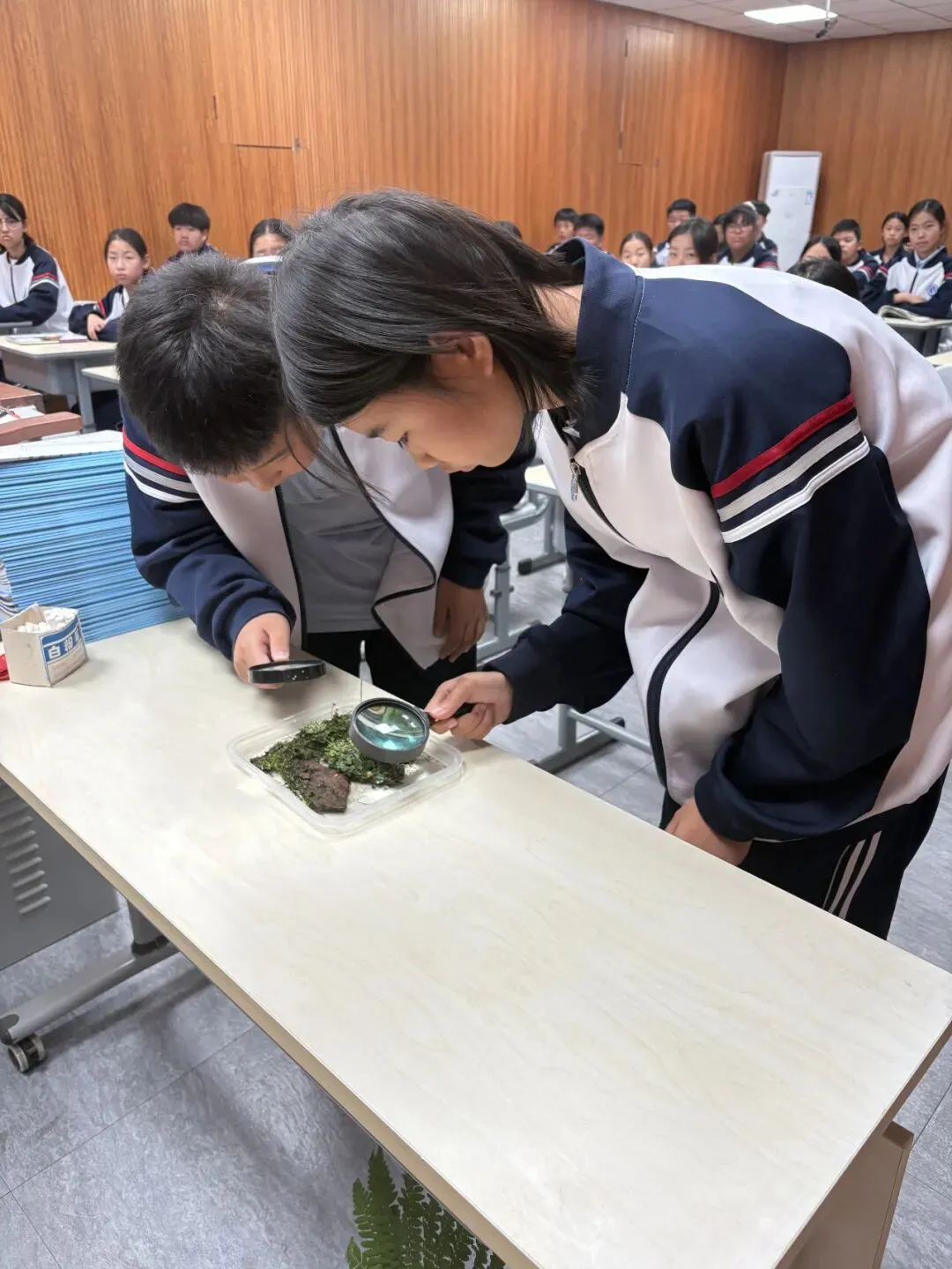 聚力新中考生物启新研 ——翟家中学新中考改革背景下史地生联合教研活动-第16张图片-四季读书网 聚力新中考生物启新研 ——翟家中学新中考改革背景下史地生联合教研活动-第16张图片-四季读书网