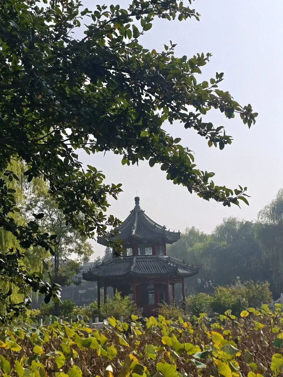 高考志愿,该怎么认识你?-第1张图片-四季读书网