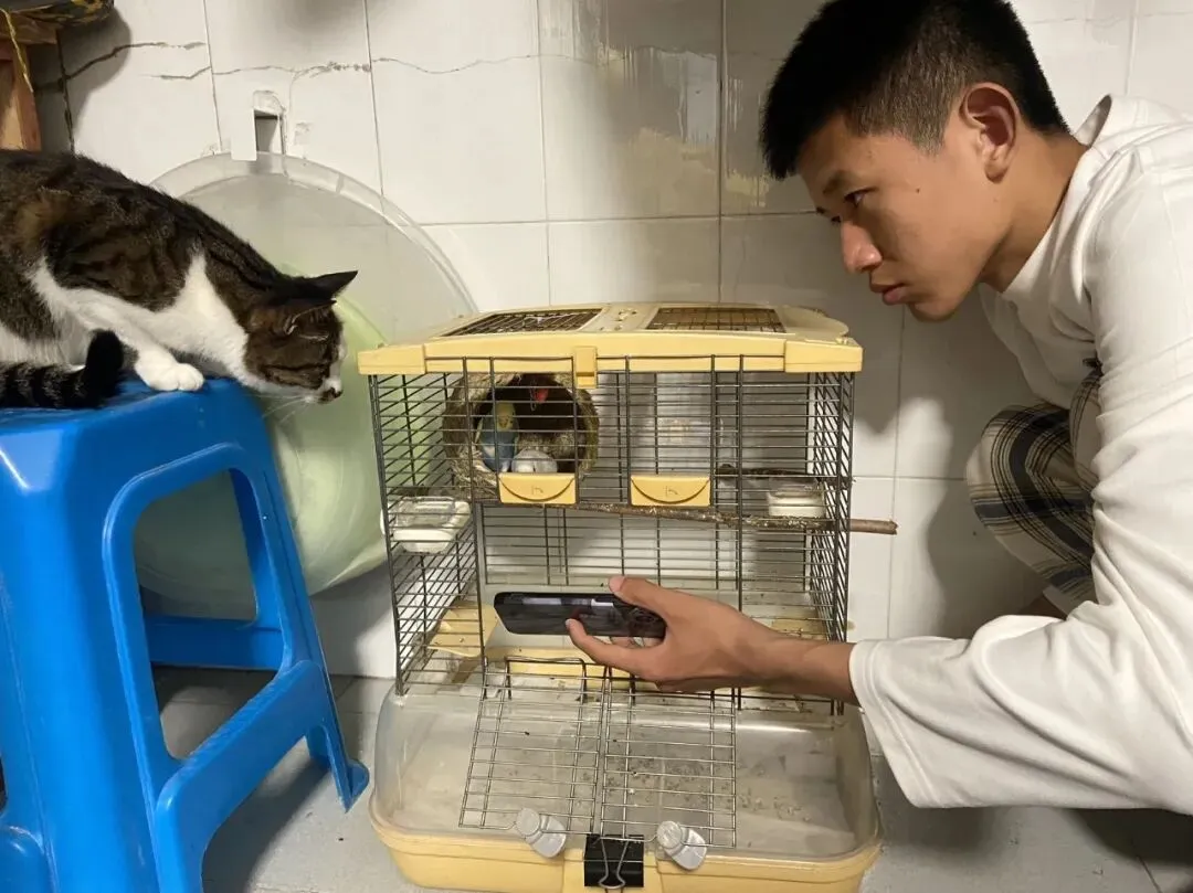 从初三到高一这段路,走的好艰难-第2张图片-四季读书网 从初三到高一这段路,走的好艰难-第2张图片-四季读书网