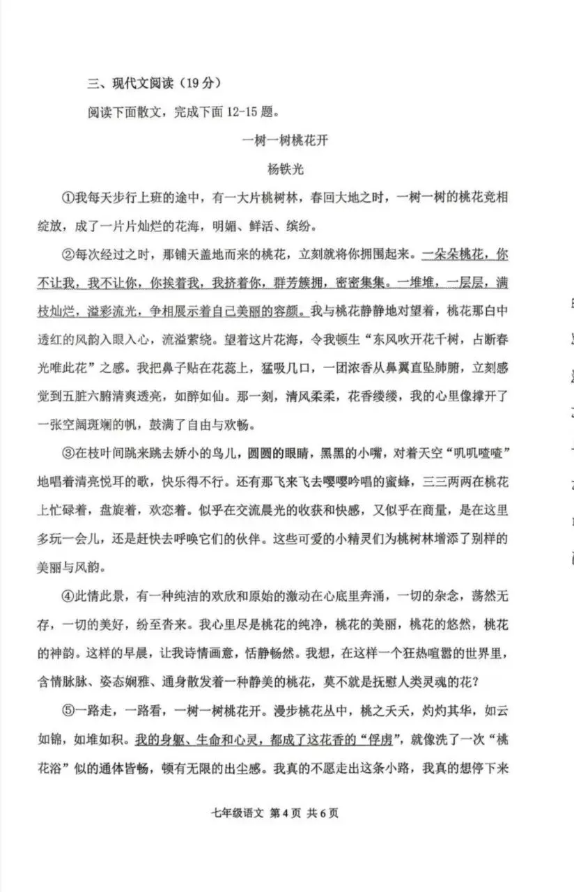 初一|五中10月月考卷-第4张图片-四季读书网