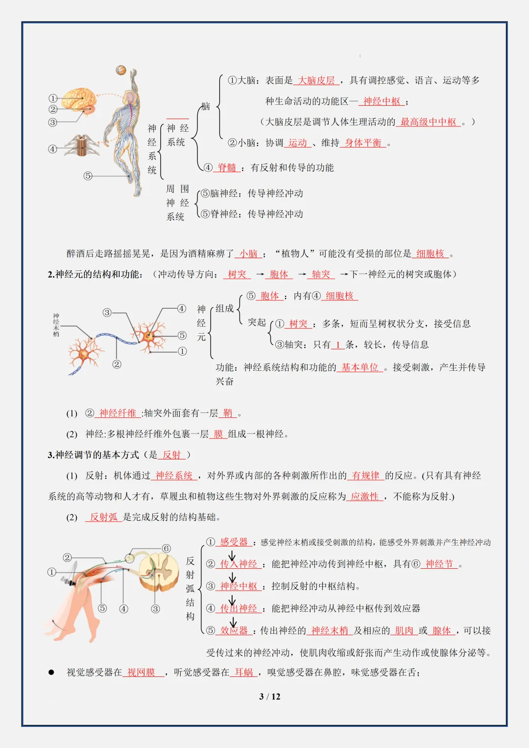 【初二】2026新教材八年级上册生物全册必背重点知识点汇总(高清版可打印)-第7张图片-四季读书网 【初二】2026新教材八年级上册生物全册必背重点知识点汇总(高清版可打印)-第7张图片-四季读书网