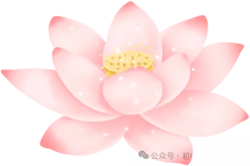 新初三九上道法第一次月考押题预测常考简答题30道汇总(可打印),押中率99%,必掌握!-第2张图片-四季读书网