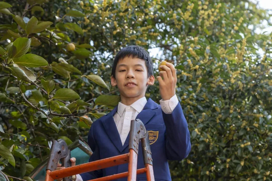 初三腾飞,“柿”全十美 ——南京市钟英中学初三年级成功举办“百果园”摘柿活动-第6张图片-四季读书网 初三腾飞,“柿”全十美 ——南京市钟英中学初三年级成功举办“百果园”摘柿活动-第6张图片-四季读书网