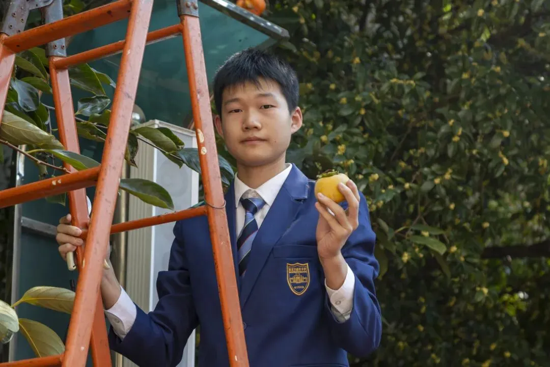 初三腾飞,“柿”全十美 ——南京市钟英中学初三年级成功举办“百果园”摘柿活动-第8张图片-四季读书网 初三腾飞,“柿”全十美 ——南京市钟英中学初三年级成功举办“百果园”摘柿活动-第8张图片-四季读书网
