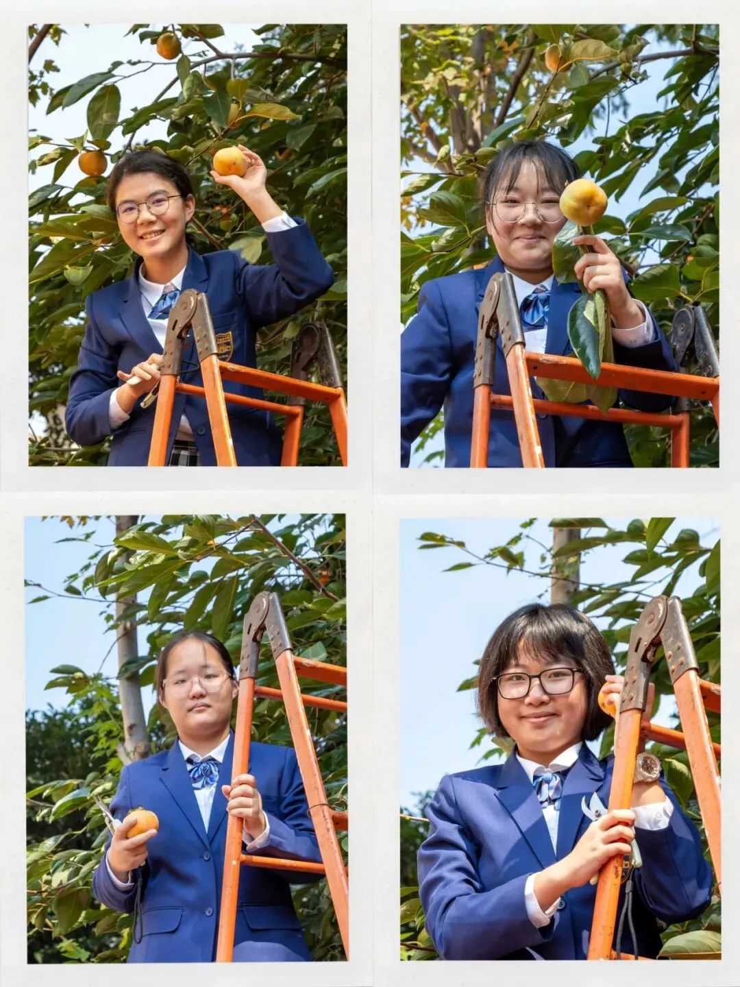 初三腾飞,“柿”全十美 ——南京市钟英中学初三年级成功举办“百果园”摘柿活动-第10张图片-四季读书网 初三腾飞,“柿”全十美 ——南京市钟英中学初三年级成功举办“百果园”摘柿活动-第10张图片-四季读书网