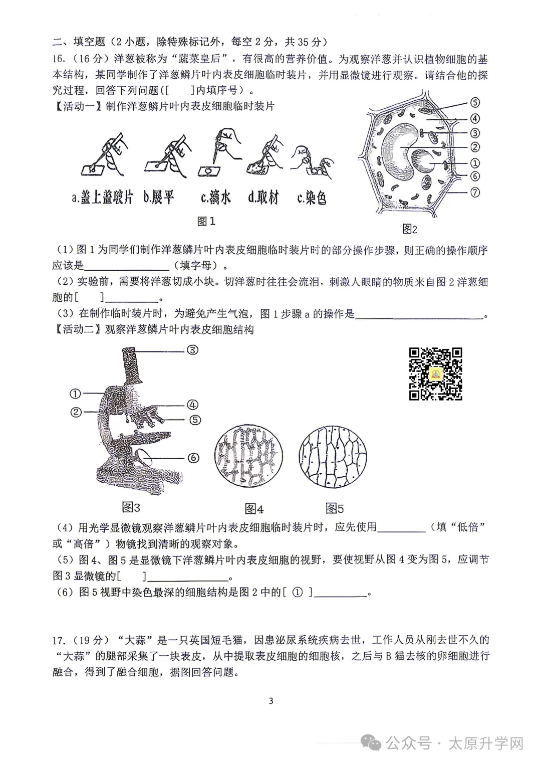 【初一月考】26-27学年山大附10月月考试题汇总-第32张图片-四季读书网 【初一月考】26-27学年山大附10月月考试题汇总-第32张图片-四季读书网