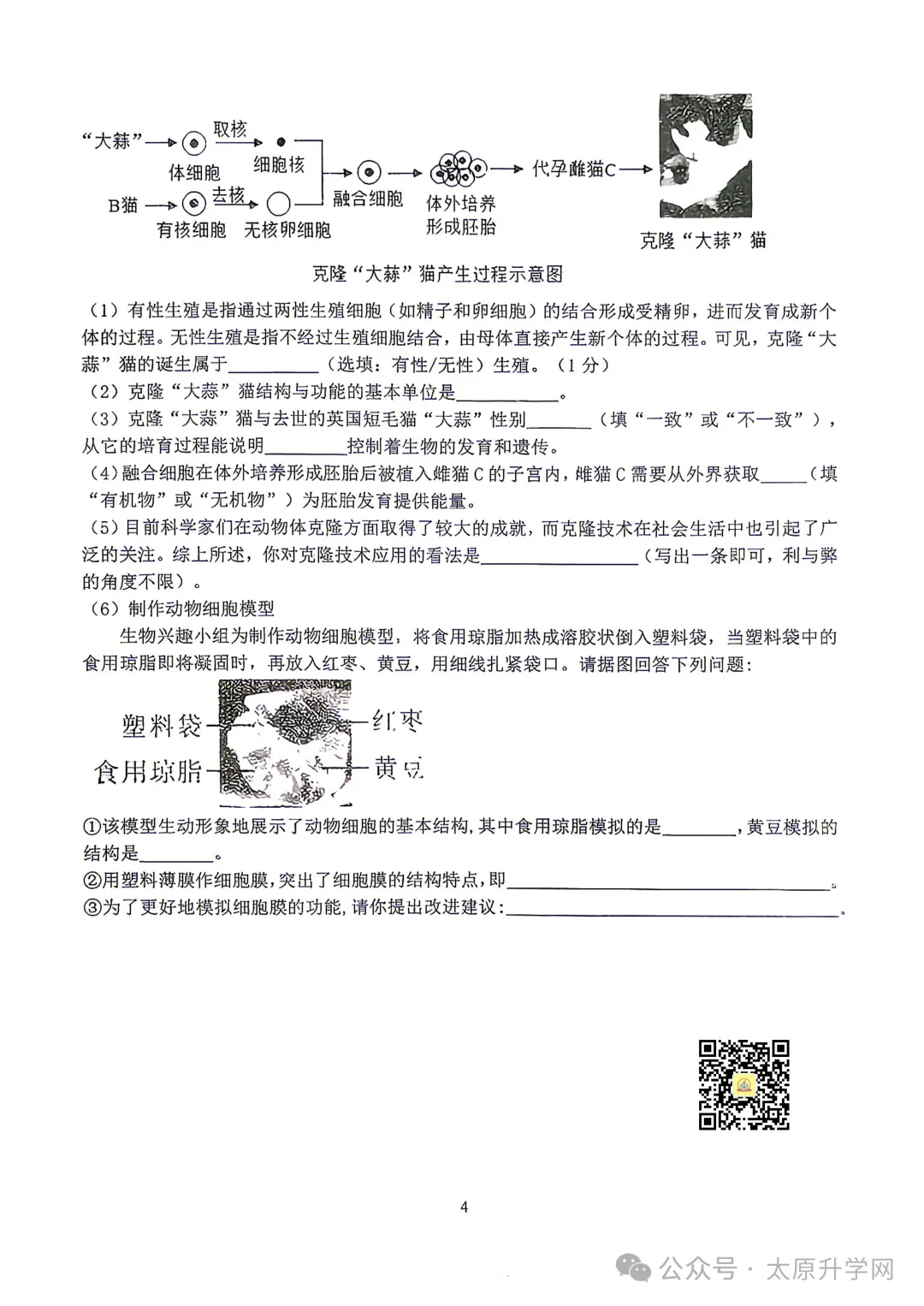 【初一月考】26-27学年山大附10月月考试题汇总-第33张图片-四季读书网 【初一月考】26-27学年山大附10月月考试题汇总-第33张图片-四季读书网
