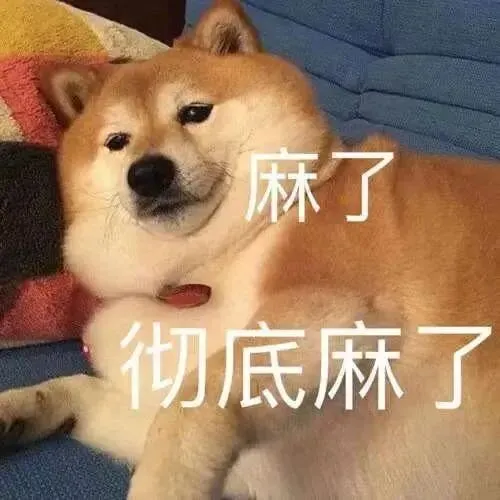 刷题、模考、排名!应试模式,正在如何塑造高中生?-第1张图片-四季读书网 刷题、模考、排名!应试模式,正在如何塑造高中生?-第1张图片-四季读书网
