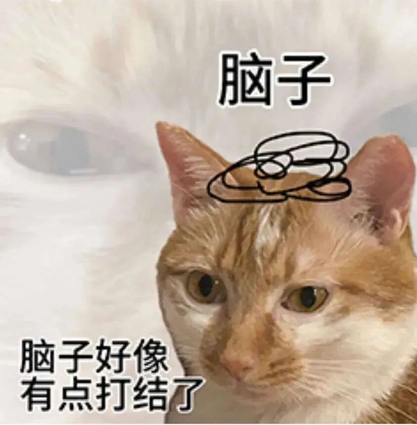 刷题、模考、排名!应试模式,正在如何塑造高中生?-第5张图片-四季读书网 刷题、模考、排名!应试模式,正在如何塑造高中生?-第5张图片-四季读书网