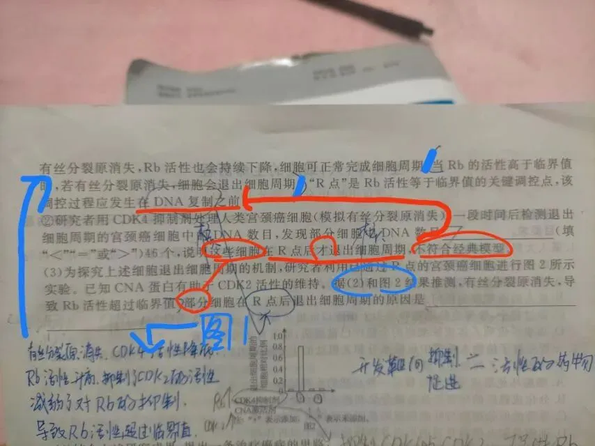 高考从答案筛选人才-第1张图片-四季读书网 高考从答案筛选人才-第1张图片-四季读书网