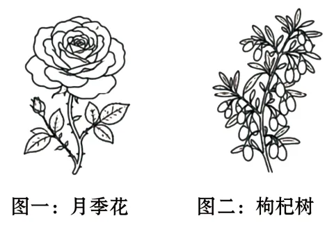 2026年各省市中考真题之记叙文阅读汇编64篇-第8张图片-四季读书网 2026年各省市中考真题之记叙文阅读汇编64篇-第8张图片-四季读书网