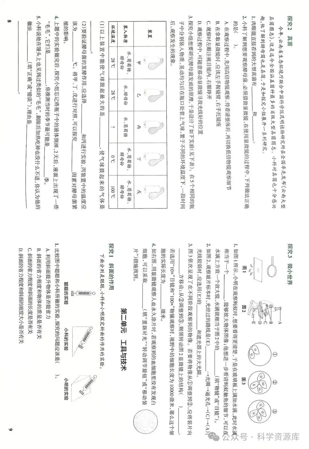 教科版科学五年级上册核心素养专项试卷-第5张图片-四季读书网
