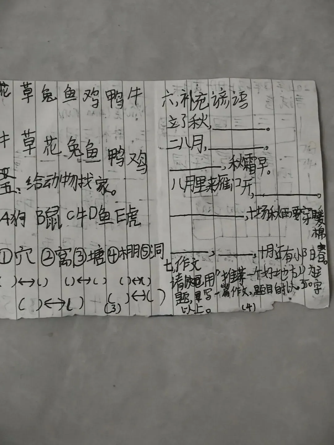 儿子的迷你版手搓试卷-第2张图片-四季读书网