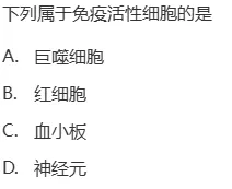 真题回顾 | 公卫考编(笔试)备考锦囊(No.2026081)-第8张图片-四季读书网