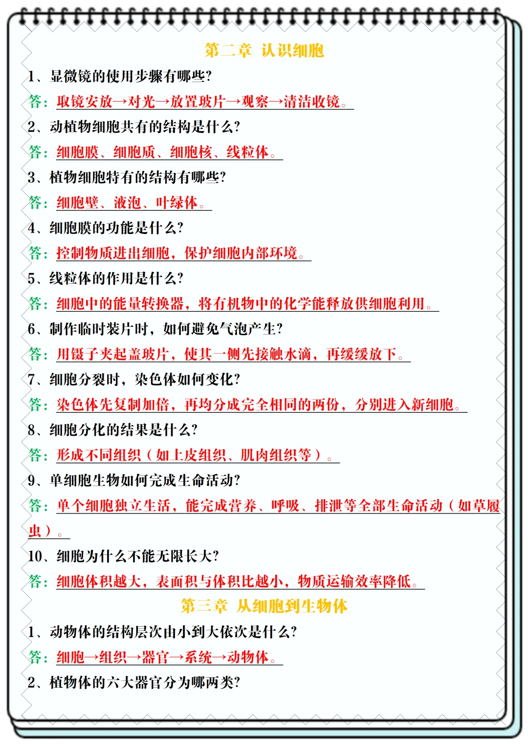 【初一】2026新版七年级上册生物全册常考核心知识简答题归纳空白+答案版,完整版可打印-第10张图片-四季读书网 【初一】2026新版七年级上册生物全册常考核心知识简答题归纳空白+答案版,完整版可打印-第10张图片-四季读书网