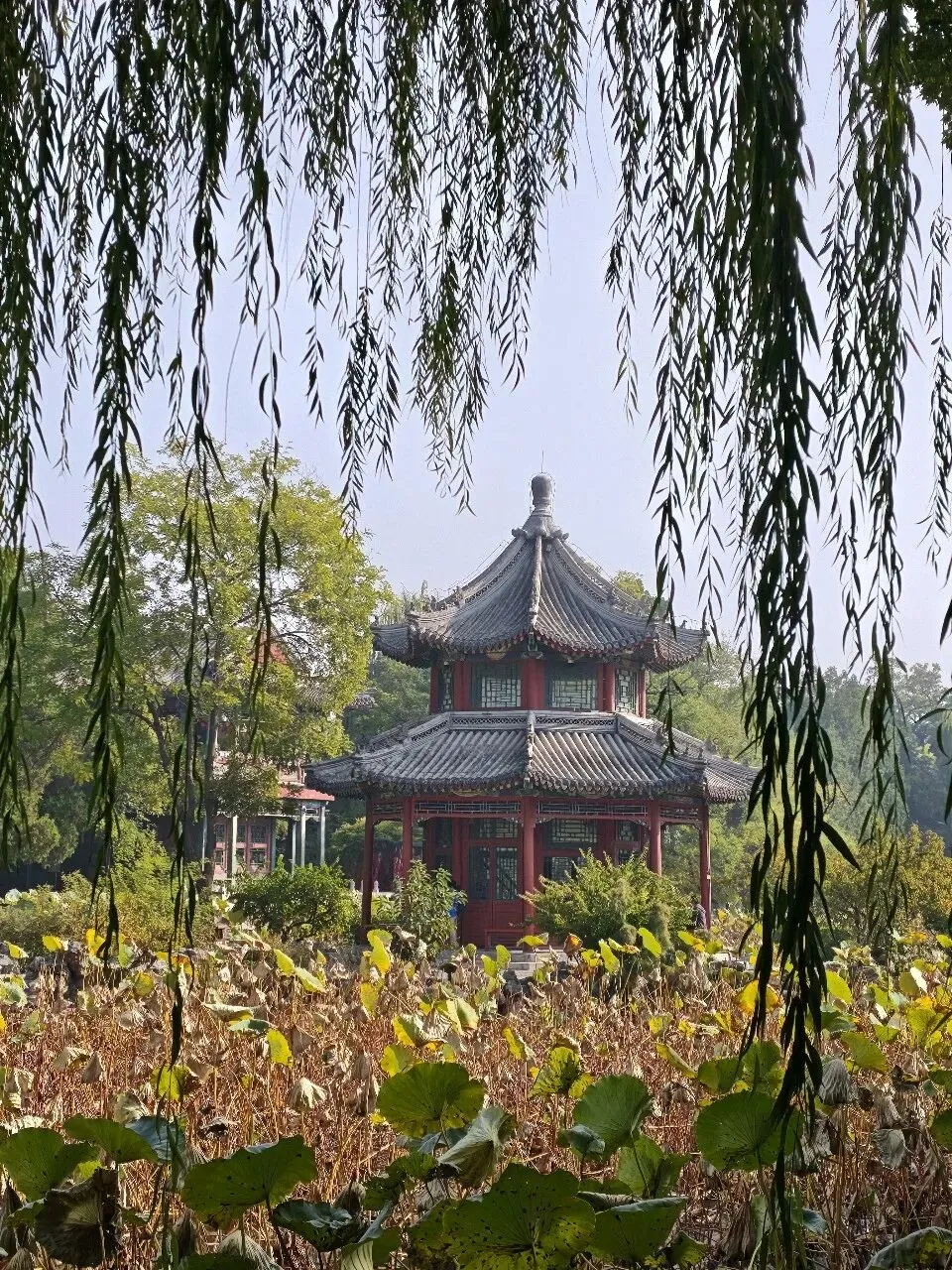 提高高考分数的黄金知识.-第1张图片-四季读书网
