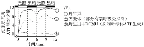 2026年高考生物真题汇编----选择题不定项选择题部分(26题完整版)-第7张图片-四季读书网