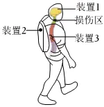2026年高考生物真题汇编----选择题不定项选择题部分(26题完整版)-第14张图片-四季读书网