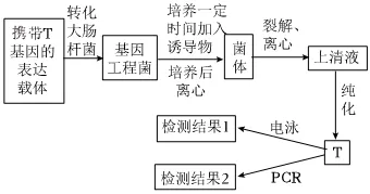 2026年高考生物真题汇编----选择题不定项选择题部分(26题完整版)-第15张图片-四季读书网