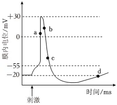 2026年高考生物真题汇编----选择题不定项选择题部分(26题完整版)-第18张图片-四季读书网