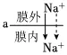 2026年高考生物真题汇编----选择题不定项选择题部分(26题完整版)-第19张图片-四季读书网