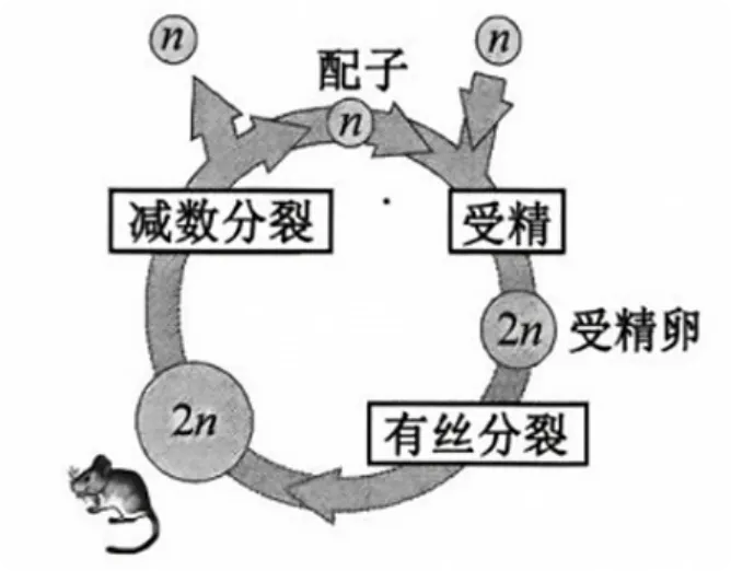 2026年高考生物真题汇编----选择题不定项选择题部分(26题完整版)-第25张图片-四季读书网