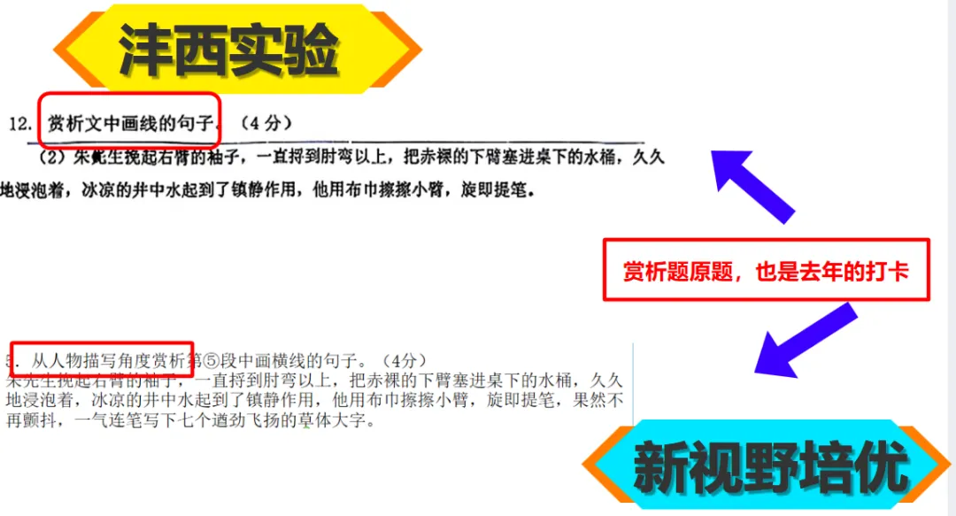 26初三月考真题VS新视野!-第8张图片-四季读书网 26初三月考真题VS新视野!-第8张图片-四季读书网