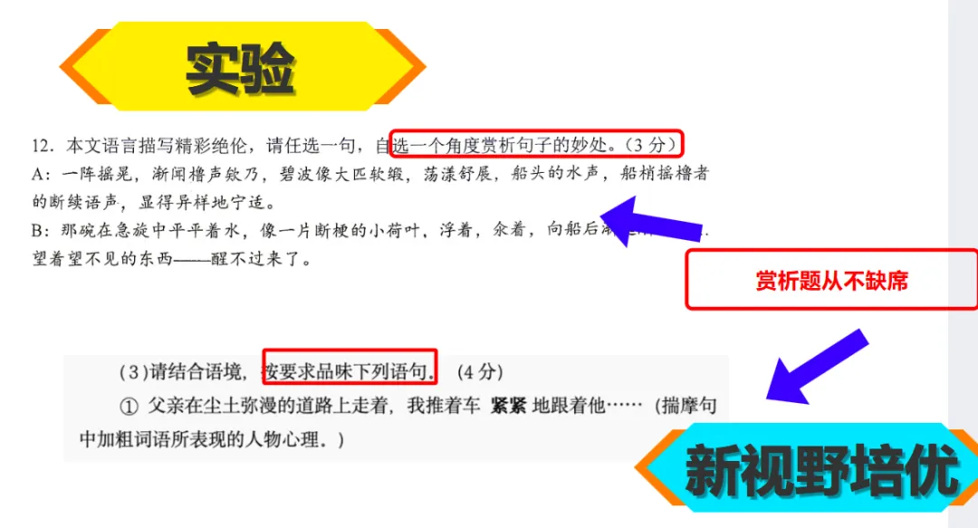26初三月考真题VS新视野!-第13张图片-四季读书网 26初三月考真题VS新视野!-第13张图片-四季读书网